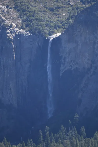 DSC_4324 (Large).JPG